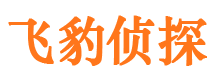 潜江私家侦探公司